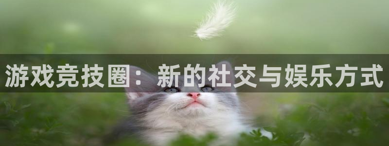 欧博娱乐娱乐：游戏竞技圈：新的社交与娱乐方式