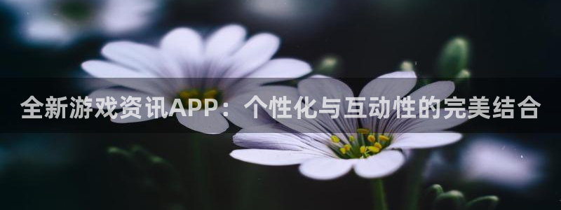 欧博娱乐测速：全新游戏资讯APP：个性化与互动性的完美结合