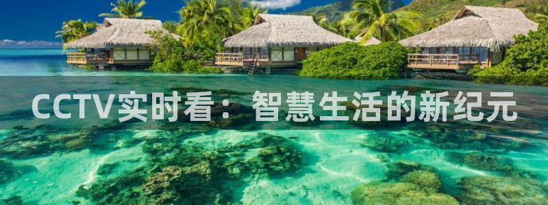 飞速体育足球直播免费观看：CCTV实时看：智慧生活的新纪元