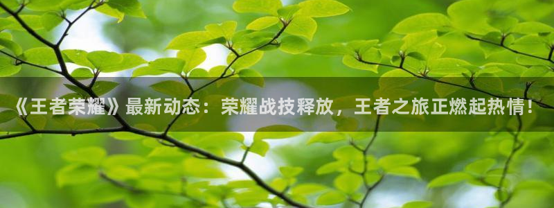 欧博娱乐Ii：《王者荣耀》最新动态：荣耀战技释放，王者之旅正