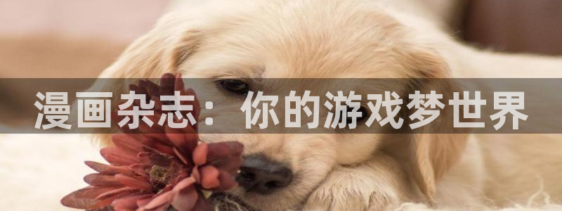 欧博娱乐注册开户：漫画杂志：你的游戏梦世界