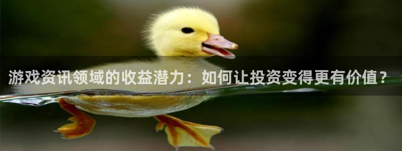欧博娱乐线路测试:游戏资讯领域的收益潜力:如何让投资变得更有
