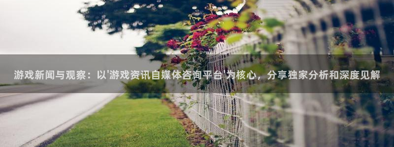 欧博娱乐平台负责人:游戏新闻与观察:以\'游戏资讯自媒体咨询
