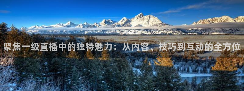 飞速直播足球直播nba直播吧