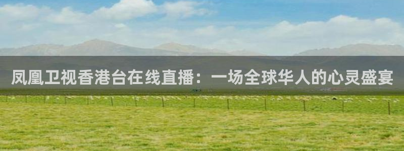 飞速体育