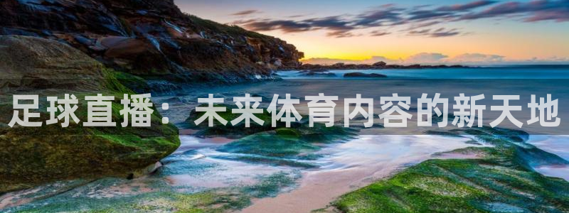 飞速足球直播官网：足球直播：未来体育内容的新天地
