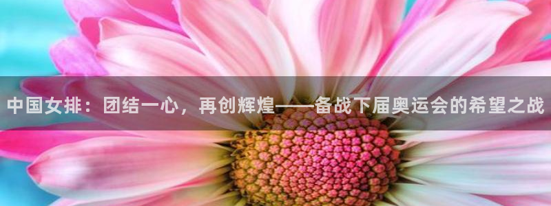 jrs飞速直播：中国女排：团结一心，再创辉煌——备战下届奥运会的希望之战
