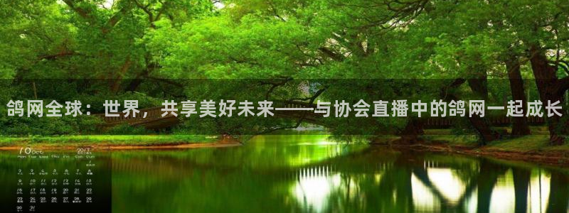 飞速体育nba：鸽网全球：世界，共享美好未来——与协会直播中的鸽网一起成长